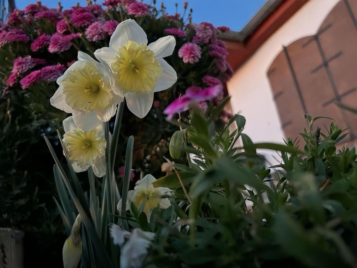 Casa Rural Vistablanca En Una Sola Planta Con Bonitas Vistas Y Piscina - Junto A La Capital Y La Alhambra เซเนส เด ลาเบกา ภายนอก รูปภาพ